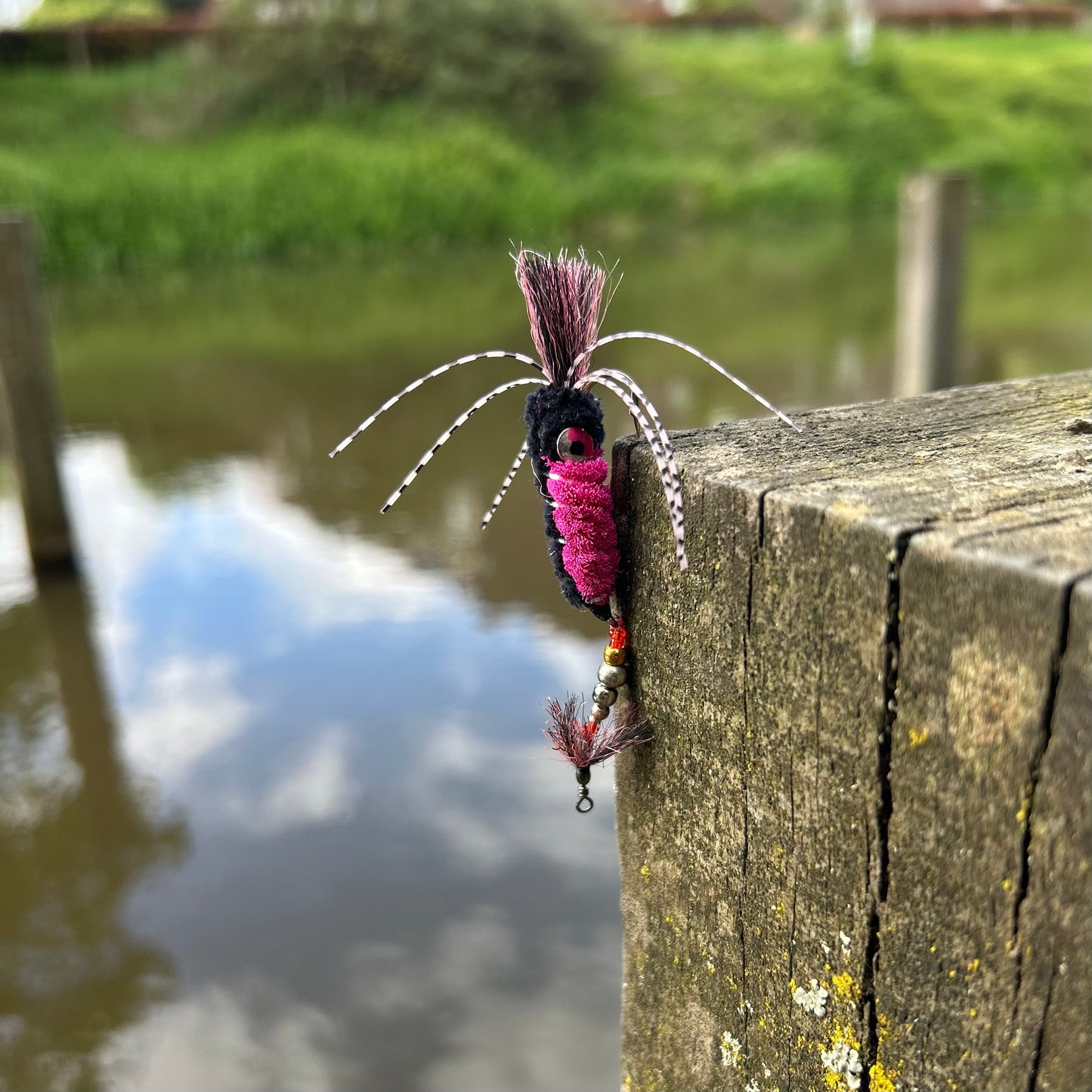 Tungsten Fly - Limited Edition