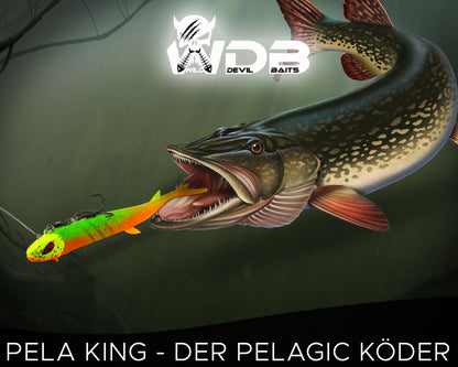 WDB Pela King