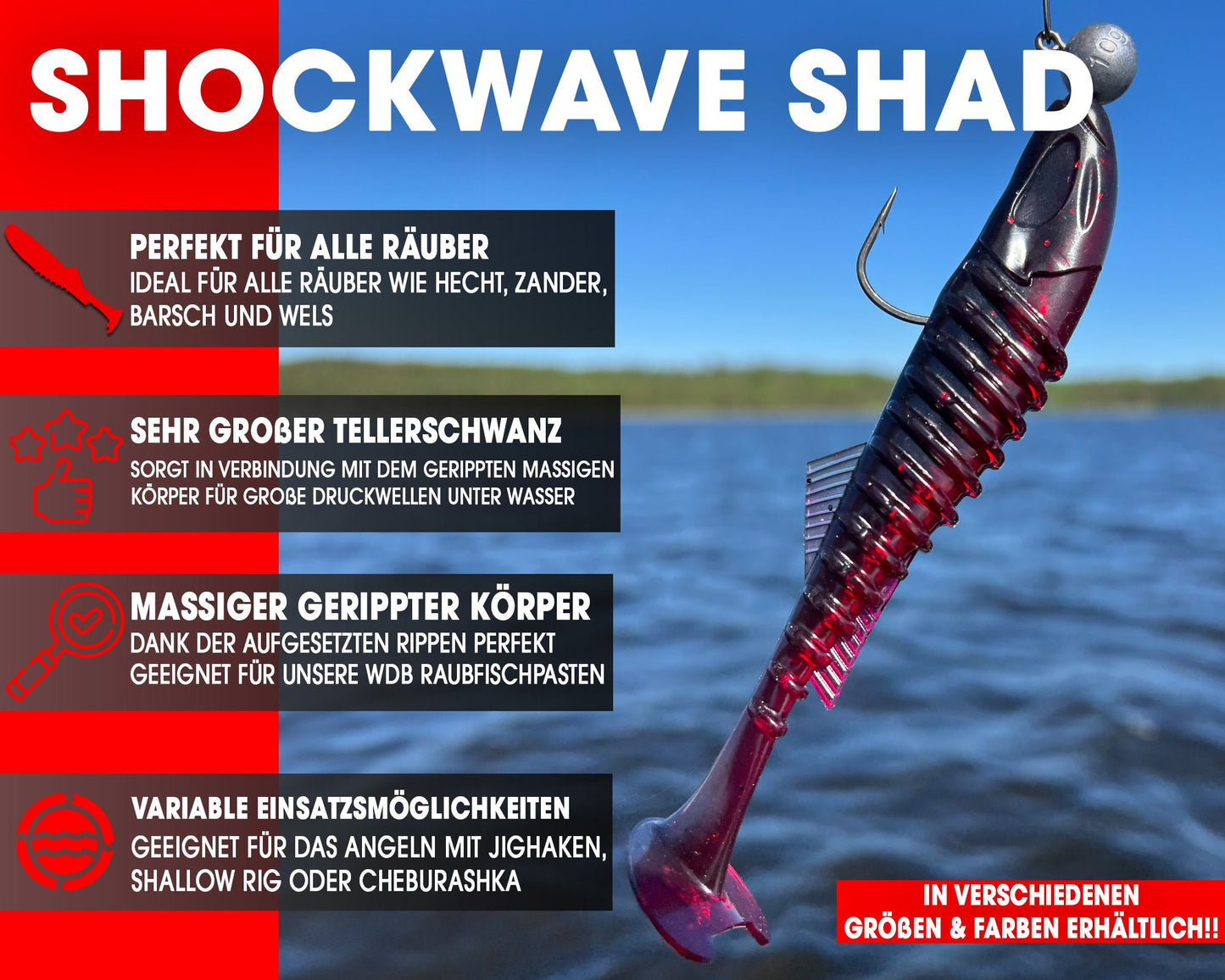 WDB Shockwave Shad 10 cm