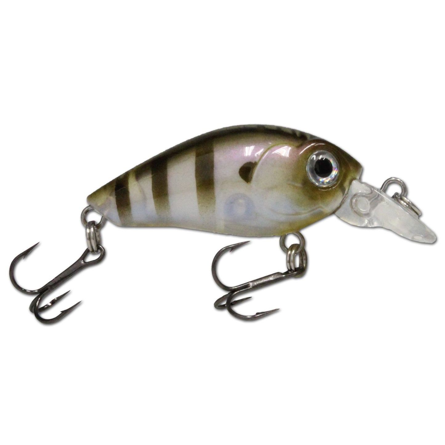 Wild Devil Baits Baby Crank Wobbler 3,5cm